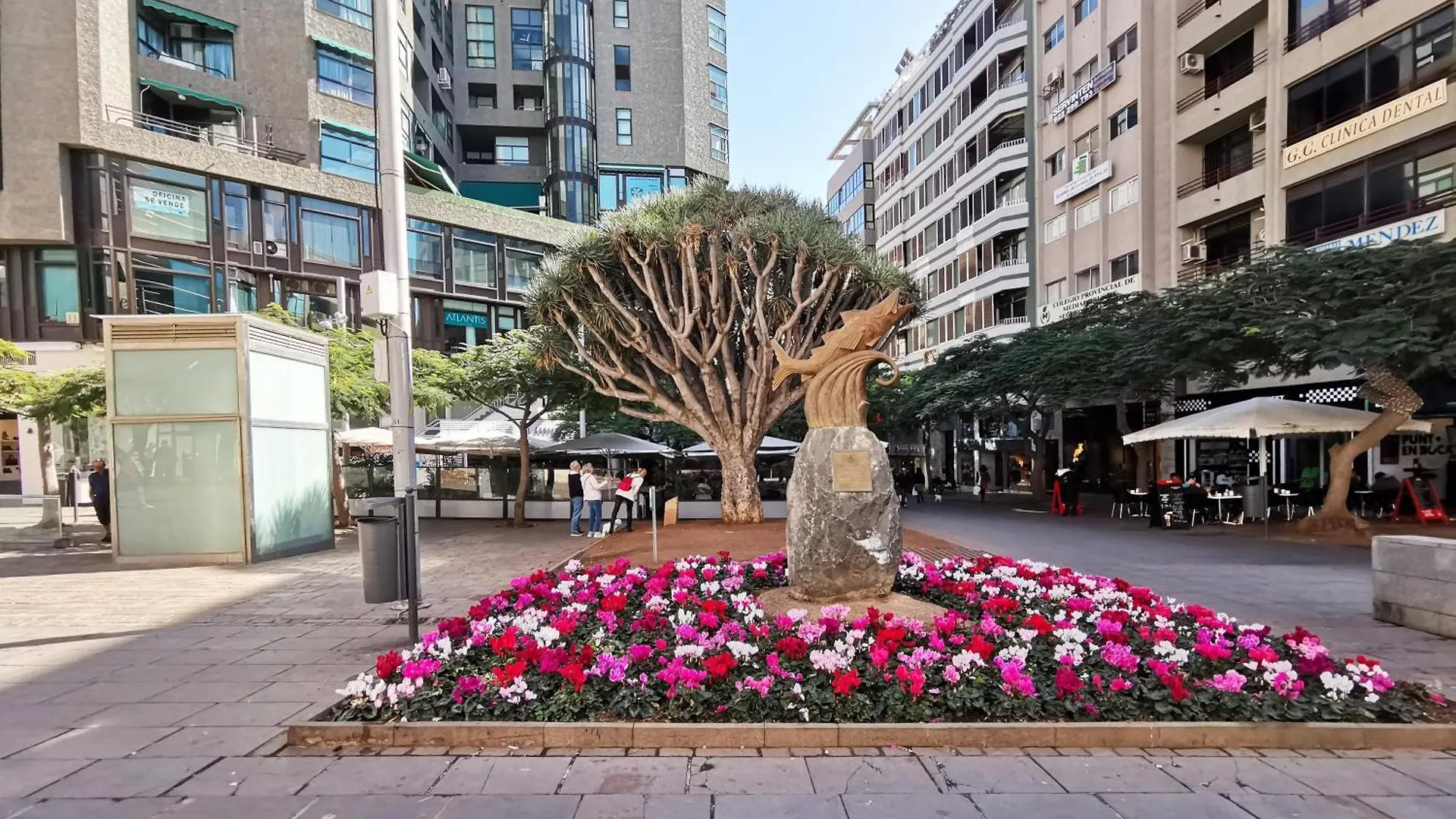 아파트 Home2Book Centric & Cozy Flat Rambla Santa Cruz
